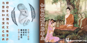 堕胎 佛陀 释迦牟尼佛 长寿灭罪护诸童子陀罗尼经 杀阿罗汉 五逆重罪 普光正见如来 颠倒女人 供养婴灵 文殊师利菩萨 堕入地狱 杀胎