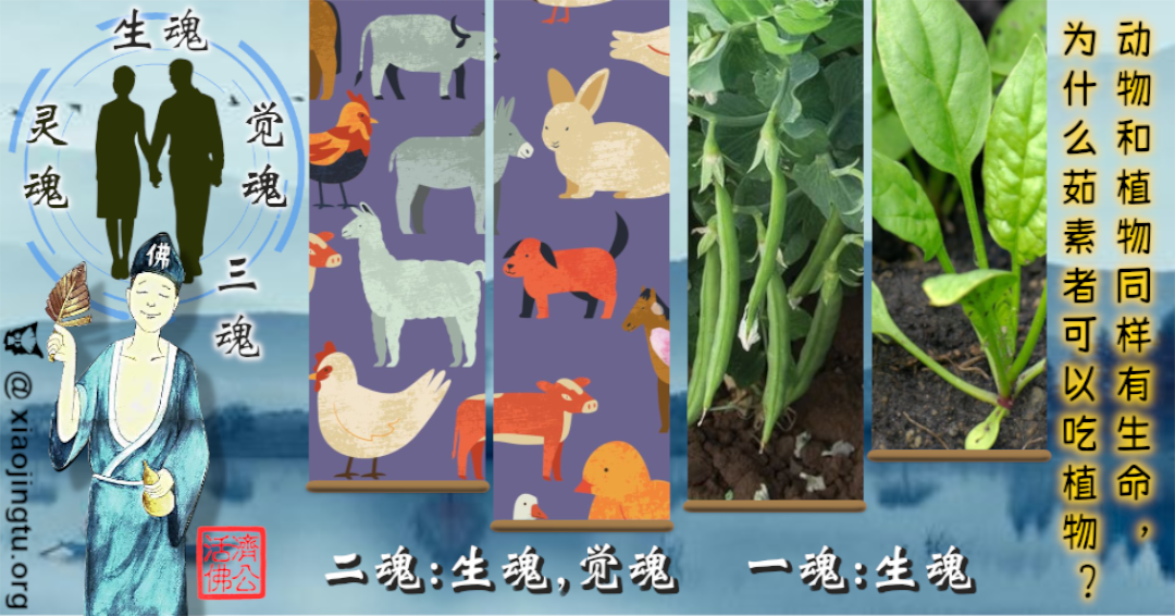 动物和植物同样有生命，为什么茹素者可以吃植物？