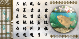 因果轮回 前世 今生