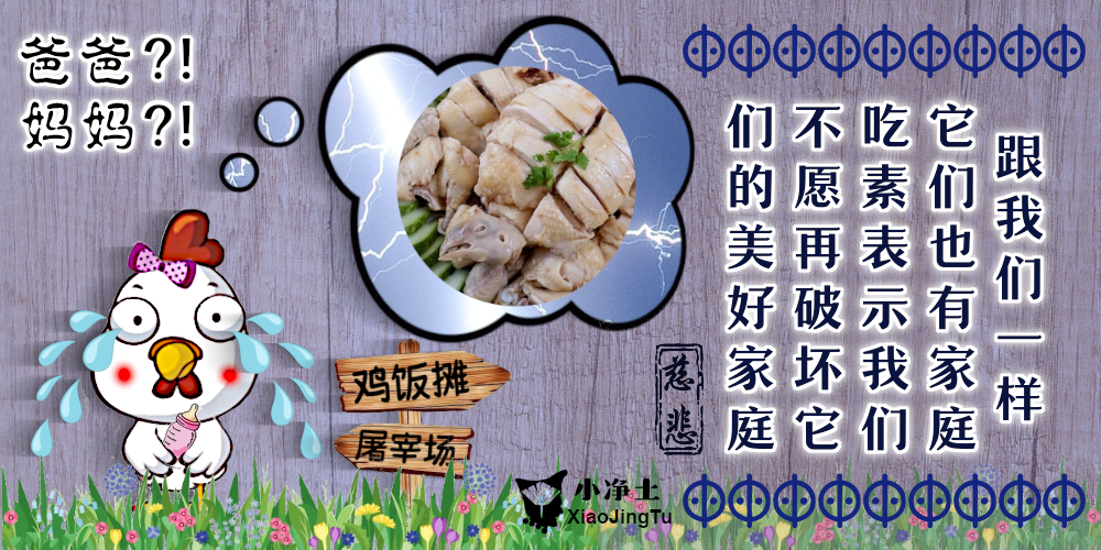 Why Go Vegetarian? 为何素食？