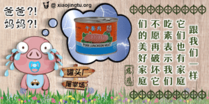 为何吃素 午餐肉 猪肉 猪仔 慈悲 不忍 屠宰场 素食者 环保 compassion vegetarian vegan friendly 动物家庭 climate change luncheon meat slaughterhouse abattoir pigs