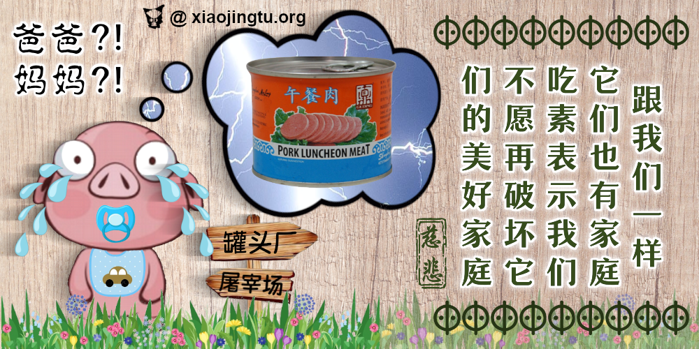 为何吃素 午餐肉 猪肉 猪仔 慈悲 不忍 屠宰场 素食者 环保 compassion vegetarian vegan friendly 动物家庭 climate change luncheon meat slaughterhouse abattoir pigs