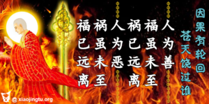因果有轮回 福祸自招 因果讨报