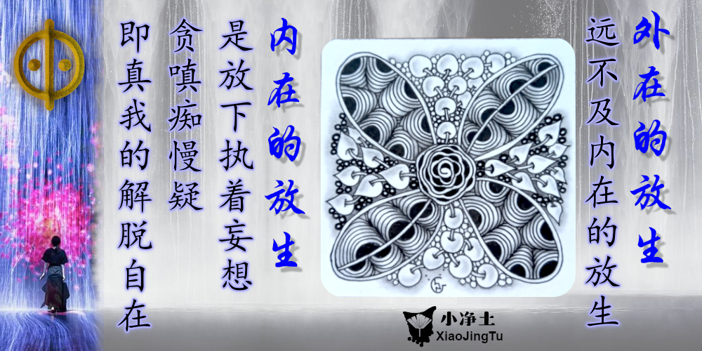 放生 三毒 贪嗔痴慢疑 解脱